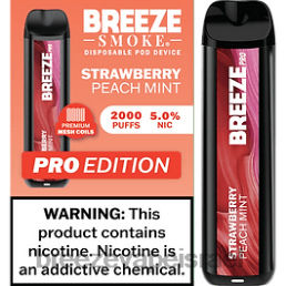 Breeze Pro 2000 שאיפות - Breeze Vape Ingredients נענע תות אפרסק 8B80B12