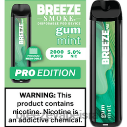 Breeze Pro 2000 שאיפות - Breeze Vape Products מסטיק מנטה 8B80B24