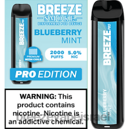 Breeze Pro 2000 שאיפות - Breeze Vape Products אוכמניות מנטה 8B80B33